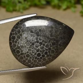 Coral Multicolor natural de 21.35 ct, En forma de pera, Opaco