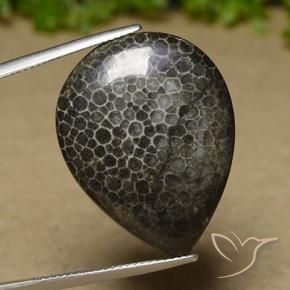 Coral Multicolor natural de 21.35 ct, En forma de pera, Opaco