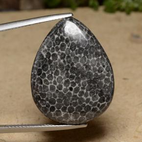 Coral Multicolor natural de 22.48 ct, En forma de pera, Opaco