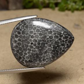 Coral Multicolor natural de 22.48 ct, En forma de pera, Opaco