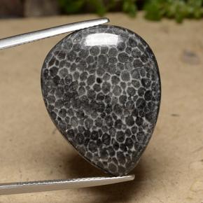 Coral Multicolor natural de 22.48 ct, En forma de pera, Opaco