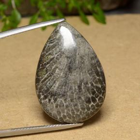 Coral Multicolor natural de 20.56 ct, En forma de pera, Opaco