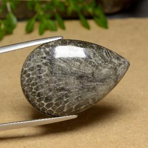 Coral Multicolor natural de 20.56 ct, En forma de pera, Opaco