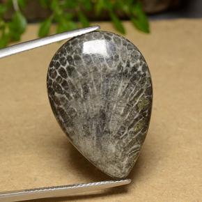 Coral Multicolor natural de 20.56 ct, En forma de pera, Opaco