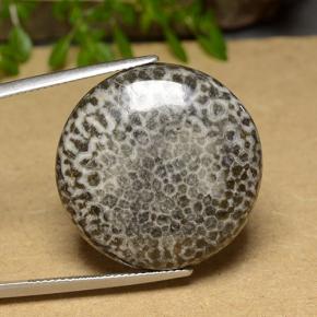 Coral multicolor natural de 30,46 ct, corte redondo, opaco