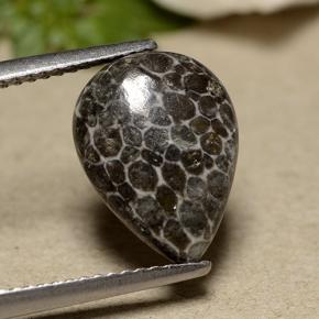 Coral Gris natural de 2.93 ct, En forma de pera, Opaco