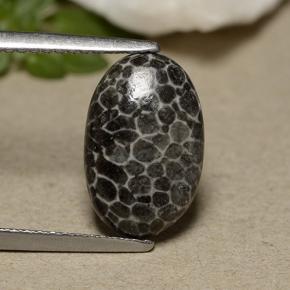 Coral gris natural de 2,44 ct, corte óvalo, opaco