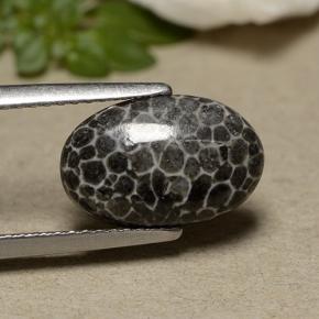 Coral gris natural de 2,44 ct, corte óvalo, opaco