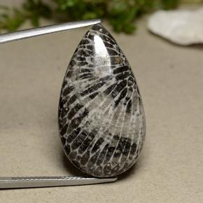 Coral gris natural de 24,91 ct, en forma de pera, opaco