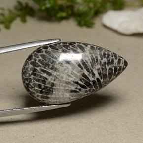 Coral gris natural de 24,91 ct, en forma de pera, opaco