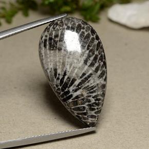 Coral gris natural de 24,91 ct, en forma de pera, opaco
