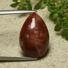 Coral Multicolor natural de 7.90 ct, En forma de pera, Opaco