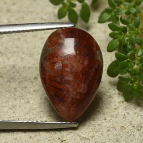 Coral Multicolor natural de 7.90 ct, En forma de pera, Opaco