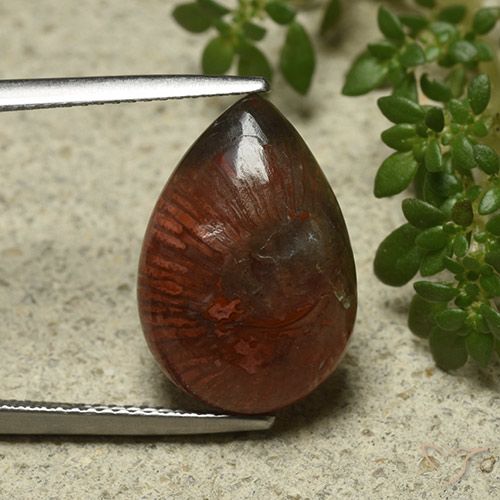 7.03ct Natural Multicolor Coral, En forma de pera, Opaco
