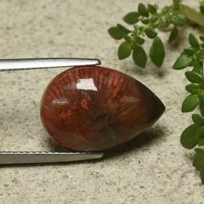 Coral Multicolor natural de 7.03 ct, En forma de pera, Opaco