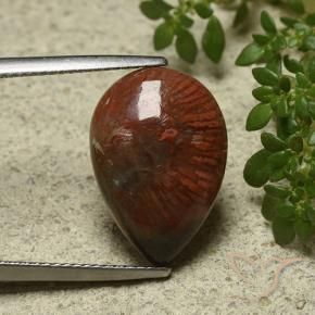 Coral Multicolor natural de 7.03 ct, En forma de pera, Opaco