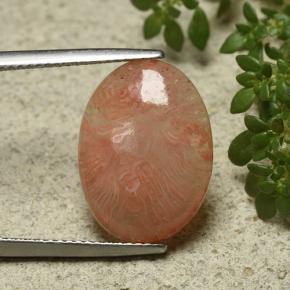 Coral multicolor natural de 6,55 ct, corte óvalo, translúcido