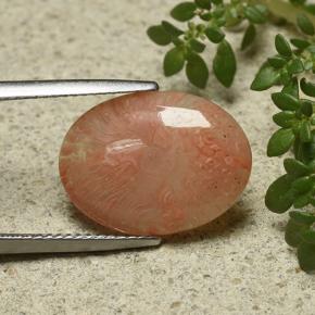Coral multicolor natural de 6,55 ct, corte óvalo, translúcido
