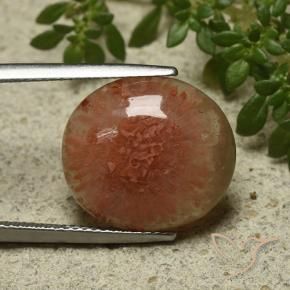 Coral Multicolor natural de 9.34 ct, Ovalada, Translúcido
