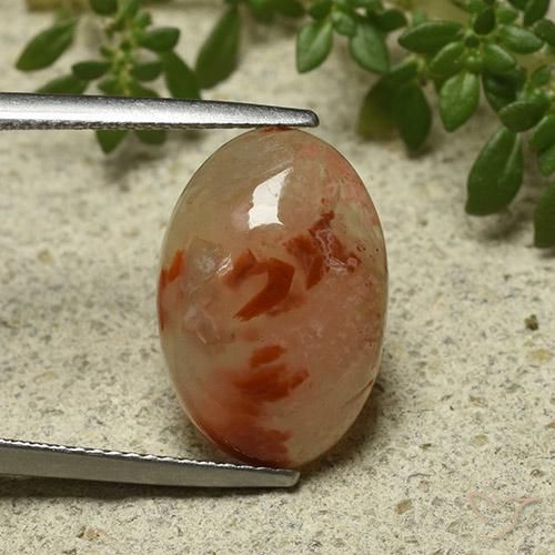 6.87ct Natural Multicolor Coral, Ovalada, Translúcido