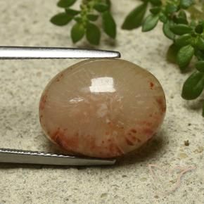 Coral Multicolor natural de 11.57 ct, Ovalada, Translúcido
