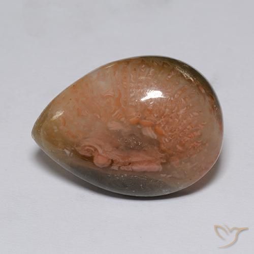 9.60ct Natural Multicolor Coral, En forma de pera, Translúcido