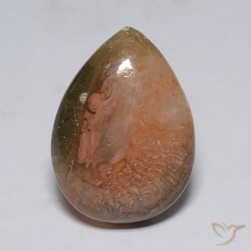 Coral Multicolor natural de 9.60 ct, En forma de pera, Translúcido