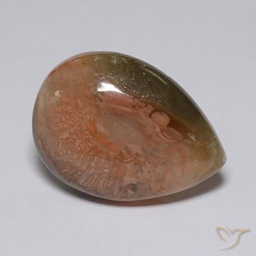 Coral Multicolor natural de 9.60 ct, En forma de pera, Translúcido