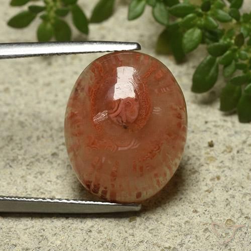 9.87ct Natural Multicolor Coral, Ovalada, Translúcido