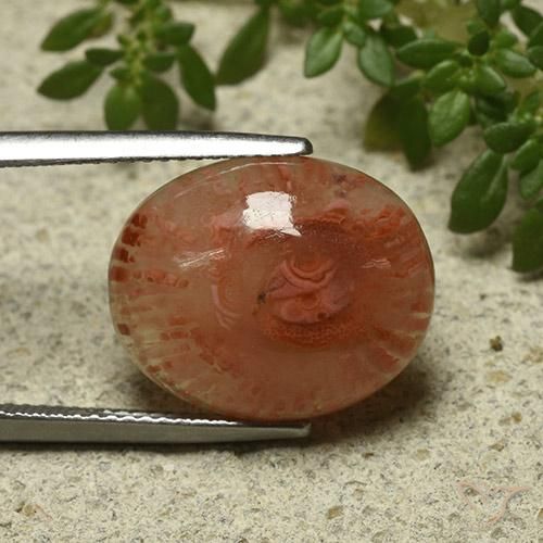 Coral Multicolor natural de 9.87 ct, Ovalada, Translúcido
