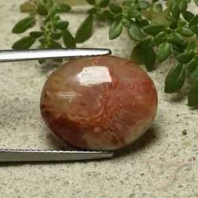 Coral Multicolor natural de 9.58 ct, Ovalada, Translúcido