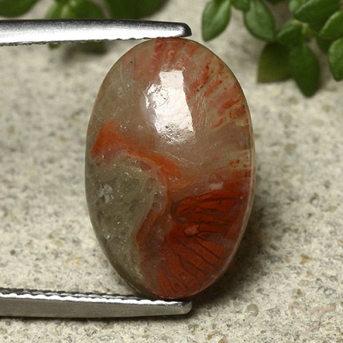 Coral multicolor natural de 5,91 ct, corte óvalo, translúcido