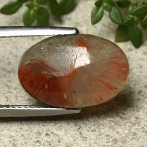 Coral multicolor natural de 5,91 ct, corte óvalo, translúcido