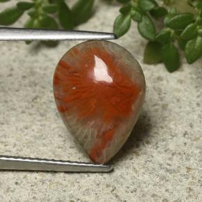 Coral Multicolor natural de 3.31 ct, En forma de pera, Opaco