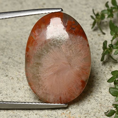 12.10ct Natural Multicolor Coral, Ovalada, Translúcido