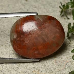 Coral Multicolor natural de 14.74 ct, Ovalada, Opaco