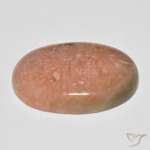Coral Multicolor natural de 11.50 ct, Ovalada, Translúcido