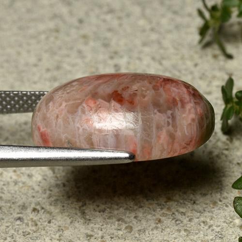 Coral multicolor natural de 10,62 ct, corte óvalo, opaco