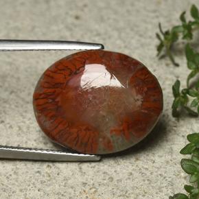 Coral Multicolor natural de 12.59 ct, Corte Óvalo, Opaco