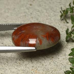 Coral Multicolor natural de 12.59 ct, Corte Óvalo, Opaco