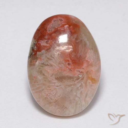 8.90ct Natural Multicolor Coral, Ovalada, Opaco, Photo A