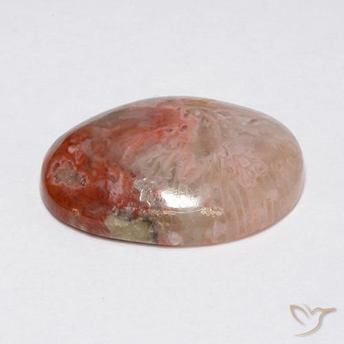 Coral Multicolor natural de 8.90 ct, Ovalada, Opaco