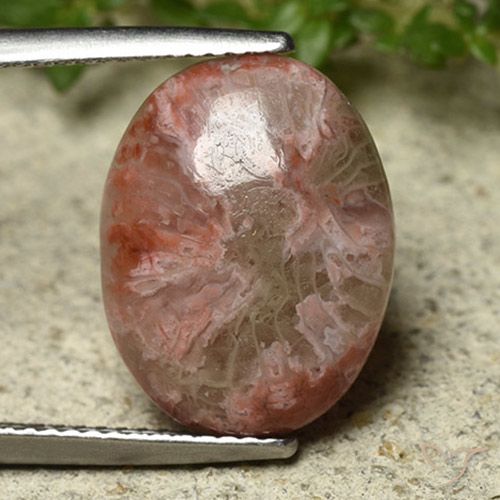 6.22ct Natural Multicolor Coral, Ovalada, Opaco