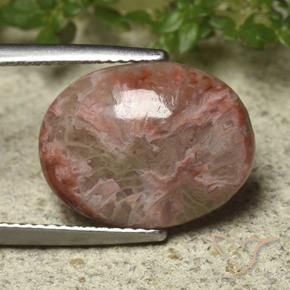 Coral Multicolor natural de 6.22 ct, Ovalada, Opaco