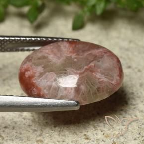 Coral Multicolor natural de 6.22 ct, Ovalada, Opaco