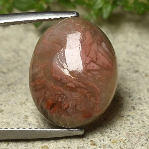 9.92ct Natural Multicolor Coral, Ovalada, Translúcido, Photo A