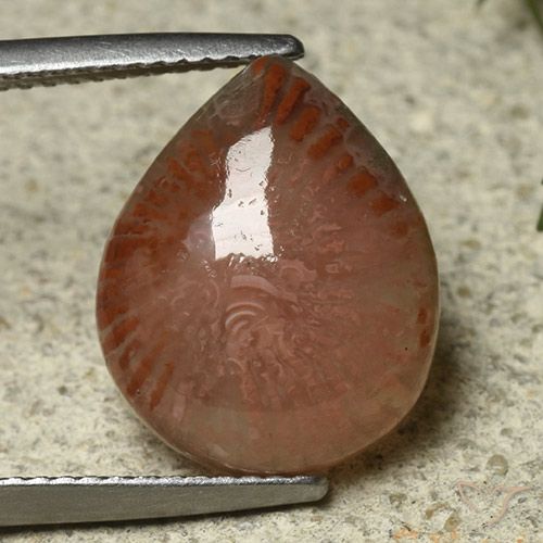 6.87ct Natural Multicolor Coral, En forma de pera, Translúcido