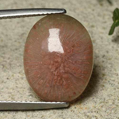 7.81ct Natural Multicolor Coral, Ovalada, Translúcido
