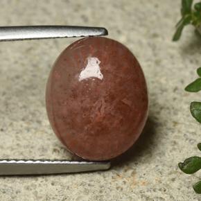 Coral Multicolor natural de 6.35 ct, Corte Óvalo, Translúcido