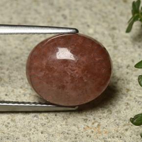 Coral Multicolor natural de 6.35 ct, Corte Óvalo, Translúcido